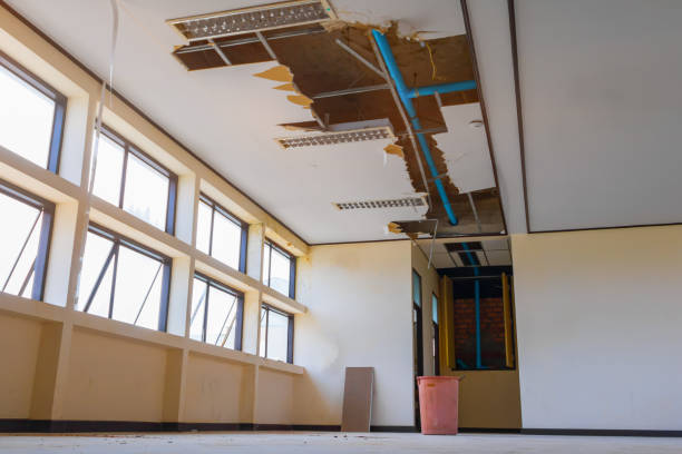 Water damage restoration mold remediation in NJ