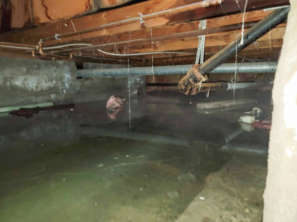 Best 24-hour water damage restoration  in Rutgers University Busch Campus, NJ