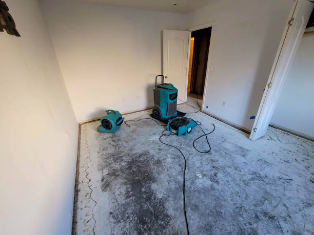 Best Commercial water damage restoration  in Rutgers University Busch Campus, NJ