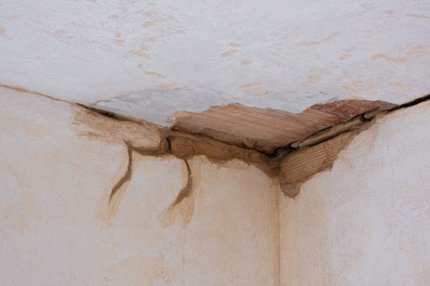 Best Water damage cleanup near me  in Rutgers University Busch Campus, NJ