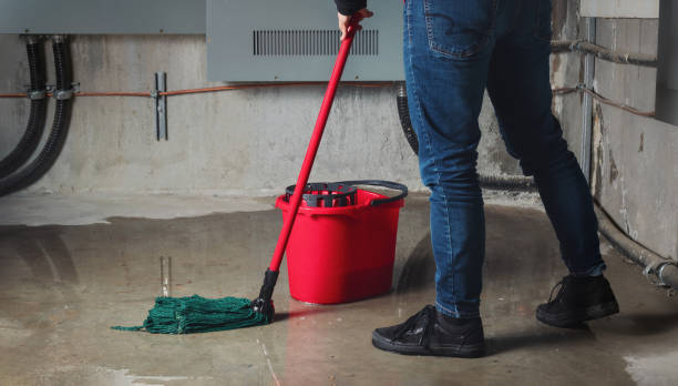 Best Water damage restoration near me  in Rutgers University Busch Campus, NJ