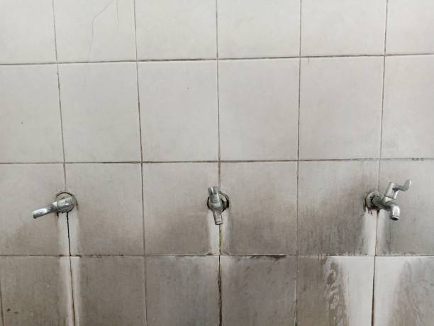 Best Water damage restoration mold remediation  in Rutgers University Busch Campus, NJ