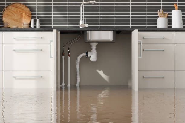 Best Flood restoration services  in Rutgers University Busch Campus, NJ
