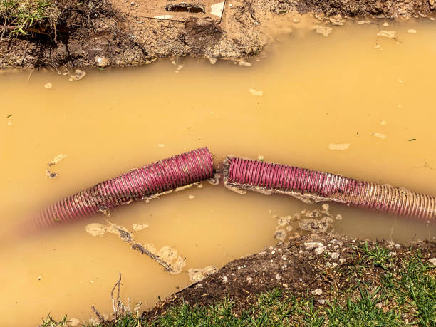 Best Flood damage cleanup  in Rutgers University Busch Campus, NJ