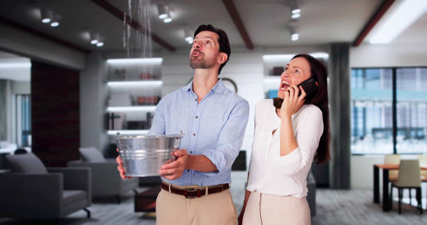 Best Water damage restoration company  in Rutgers University Busch Campus, NJ