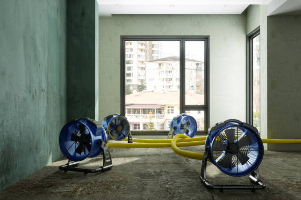 Best 24/7 water damage repair  in Rutgers University Busch Campus, NJ